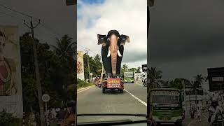 ദേ പോണു #pattabhishekam #elephant #elephantsong #elephantvideo