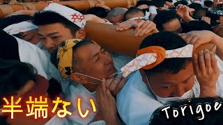 令和５年　湯島天満宮 　第66回梅まつり　神輿渡御　あついフィナーレ　迫力満点です　其の＃3　。