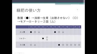 事例紹介緑肥を活用した有機栽培