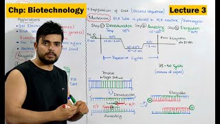 PCR | Polymerase Chain Reaction | Video 3