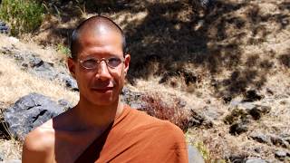 See the World as a Royal Chariot | Ajahn Siripañño