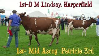 Dumfries Show 2023.Ayrshire Junior cow Class