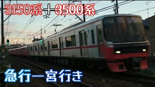 名鉄3150系3154F＋3500系3520F急行一宮行き（2024年9月18日本星崎駅本笠寺駅間にて撮影）