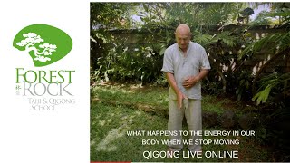What happens to energy in our body when we stop moving during a Qigong exercise