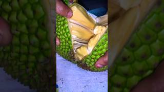 పనసకాయ ఎలా ఉందో చూడండి #panasa #jackfruit #trending #shorts #satisfying #viral #villagelife #fruits