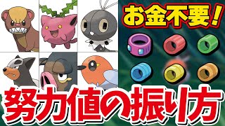 【ポケモンSV】2分で解説、努力値振りのすべてを教えます！【対戦】