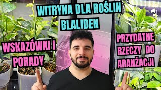 WITRYNA DO UPRAWY ROŚLIN🌿 Porady i wskazówki 👌 #roślinydoniczkowe #roślinydomowe