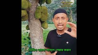 এতো ফল থাকতে কাঁঠাল কেন জাতীয় ফল।