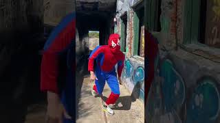 When you order Spiderman from Wish