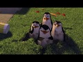 DreamWorks Madagascar | You Didn't See Anything. Right? | Madagascar Movie Clip