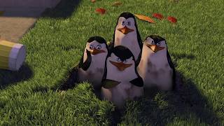 Madagascar 05 Dvd Menu Walkthrough Madagascar 05 Dvd Menu Walkthrough