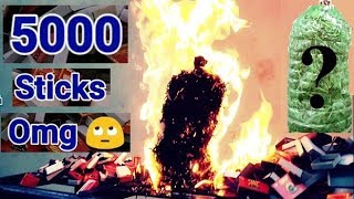 क्या हुआ जब 5000 माचिस जला दी एक साथ - Experiment 5000 Match Sticks