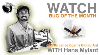 Bug of the Month - Fly Tying - Bionic Ant with Hans Mylant