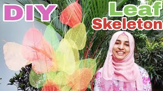 Leaf skeleton in malayalam/Coloured banyan tree leaf skeleton diy in malayalam/home decoration ideas