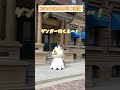 【usj】ポケグリ‼️ヒトモシ～ミミッキュまでの可愛いお見送り shorts usj ユニバ ユニバハロウィン ポケモン pokemon