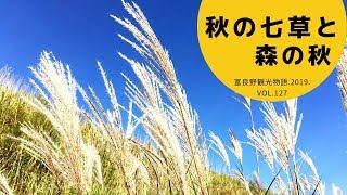 【富良野観光物語】2019.秋.vol.127　秋の七草と森の秋