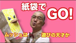 紙袋で GO!（造形遊びへのアプローチ）