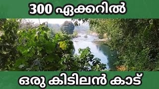 300 ഏക്കർ സ്ഥലത്തു നല്ല 👌അടിപൊളി കാട്....✅