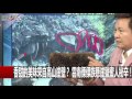 喜馬拉雅山懸崖採蜜「古隆族」 拿生命賭世界最高海拔蜂蜜！ 朱學恒 眭澔平 陳耀寬 20160628 3 關鍵時刻