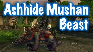 Jessiehealz - Ashhide Mushan Beast Mount [PvP] (World of Warcraft)