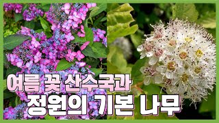 내 정원에 기본이 되는 나무 8종 추천 #국수나무 #남천 #산수국