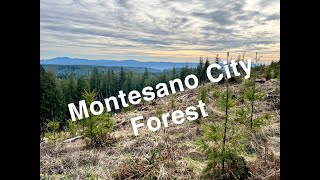 Montesano City Forest Mountain Biking!