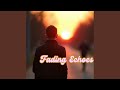 Fading Echoes
