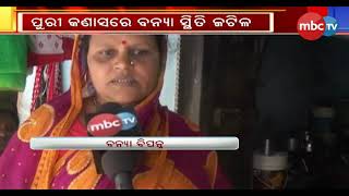 ପୁରୀ କଣାସରେ ବନ୍ୟା ସ୍ଥିତି ଜଟିଳ || MBCTv