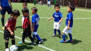 第386回 パルカップJr. U-6 決勝戦 ステラロッソ vs ふたば 20170717