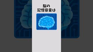 【性能良すぎ？】人間の脳に関するおもしろい雑学#雑学 #脳の特性 #頭脳