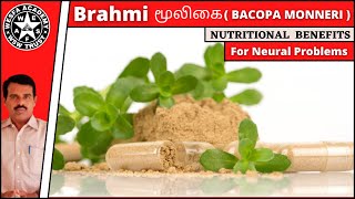 BRAHMI Herbal for Nervous Problem / Tamil / பிரம்மி மூலிகை