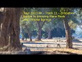 11 - Zimbabwe, Mana Pools and Chitake Springs, amazing wildlife - Track 11 - Tour 2023 4k