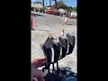 How To Operate A Forklift