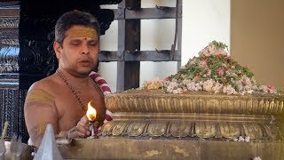 ഉത്സവ ബലി ദർശനം |Haripad Temple Uthsava bali 2019|