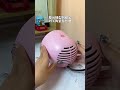 四季適用的好夥伴💗『niconico複合式陶瓷美型電暖器』，一機二用超方便！