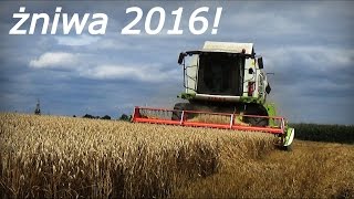 Żniwa 2016! Koszenie // Presowanie // Zbieranie // Wielka Akcja!