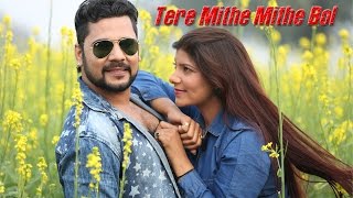 Tere Mithe Mithe Bol || Pawan Pilania || Sheenam Katholic || Rammehar Mahla || Arun Aryan 2016