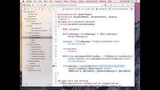 Learn iOS Objective-C Module 10 - Part 2 - Introduction to Databases