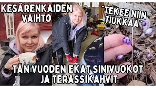 Dermosil tilauksen esittely/ Ekat sinivuokot ja terassikahvit/ Renkaiden vaihto