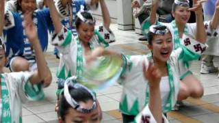 葵新連(3) ～2009.5.6 新東京三大祭り＠olinas in 錦糸町～