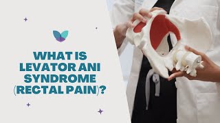 Rectal Pain Levator Ani Syndrome | Causes, Symptoms, Treatments |  Pelvic Rehabilitation Medicine