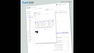 NPR Cloud ERP - ระบบจัดการธุรกิจครบจบในที่เดียว - ตัวอย่างการใช้งาน