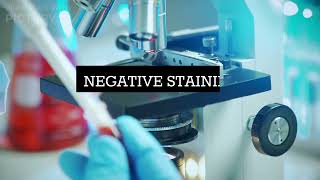 NEGATIVE STAINING: Principle, Procedure and Observation