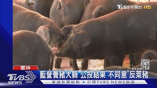 藍營養豬大縣 公投結果「不同意」反萊豬｜TVBS新聞