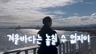 30대 직장인 브이로그 | 엄빠~나랑 바다 보러 같이 가줘~💙🌊ㅣ바다 좋아하는 사람 드루와~요ㅣ주문진 회센터 | 도깨비시장