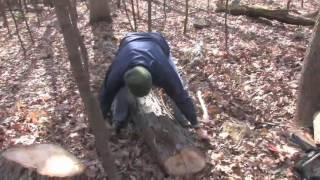 Vanishing Wisconsin: Chair Maker