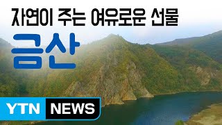 [YTN 구석구석 코리아] 자연이 주는 여유로운 선물, 금산 / YTN