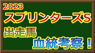 【2023 スプリンターズS 考察】 出走馬を血統面から考察！