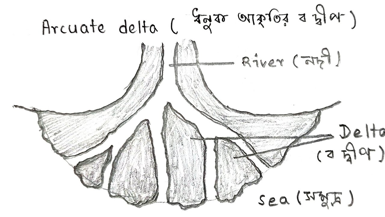 How To Draw Arcuate Delta (ধনুক আকৃতির ব-দ্বীপ ) Bow Shaped Delta ...