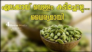 ഏലക്കായ് വെള്ളം | Cardamom water | 4 House Media